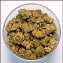 INFUSION CANNATONIC - INDOOR - COOL CBD