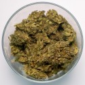 INFUSION SUPER LEMON HAZE BIO 7-12% - COOL CBD