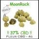MOONROCK 4G - CBD 37% - DR GREEN