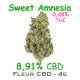 Sweet Amnesia 4G - CBD 8.91% - Dr Green