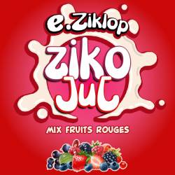 ZIKO JUL 50ML - EZIKLOP