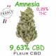 Amnesia 4G - CBD 8.91% - Dr Green