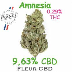 Amnesia 4G - CBD 9.63% - Dr Green