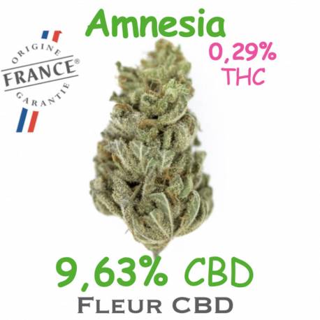 Amnesia 4G - CBD 8.91% - Dr Green