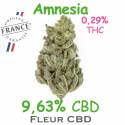 AMNESIA 4G - CBD 9.63% - DR GREEN