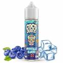 MYRTILLE  GLACÉE 50/100ML COCO JUICE