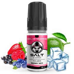 POLARIS BERRY MIX SALT E-VAPOR 10ML