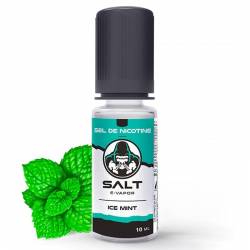 ICE MINT SALT 10 ML - SALT E-VAPOR