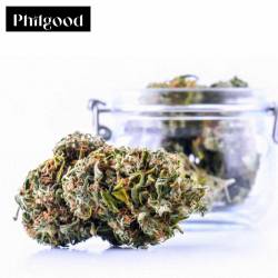 Tutti Frutti 5g philgood