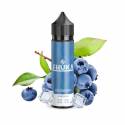 EHUKA E-LIQUIDE MYRTILLE 50 ML (30/70)