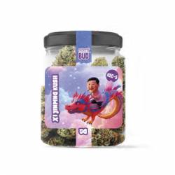 XI JINGPINK KUSH 2/5G - COCORIBUD