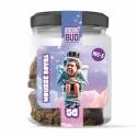 JAR HEC-5 MOUSSE ROYAL - COCORIBUD
