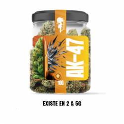 CBD AK47- COCORIBUD