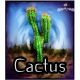 Eliquide Cactus - Les Jus de Nicole - 50ml