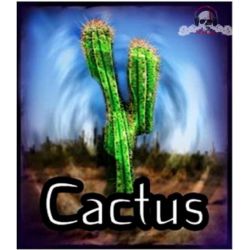 CACTUS 50ML - LES JUS DE NICOLE