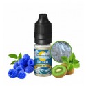 CONCENTRÉ LE YETI 10ML - NUAGES DES ILES