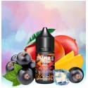 CONCENTRÉ MANGO BLACKCURRANT 30ML - EMPIRE BREW