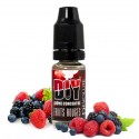 CONCENTRÉ FRUITS ROUGES 10ML - REVOLUTE