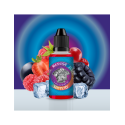 CONCENTRÉ SPARROW (MISTER)Y 30ML - CAPTAIN'S JUICE
