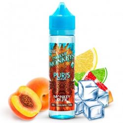 Puris Iced 50ml - Twelve Monkeys