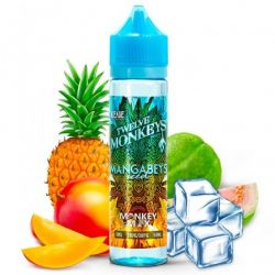 MANGABEYS ICED 50ML - TWELVE MONKEYS