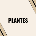 PLANTES